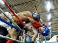 702 - INSIDE AND OUTSIDE THE RING - BARONI ROBERTO - italy